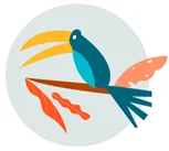 Ein Toucan